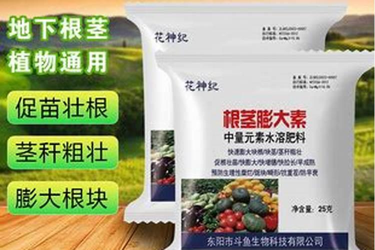 怎么给植物正确施肥