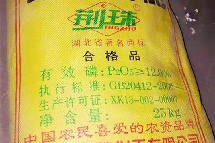 玉米要剪掉叶子吗