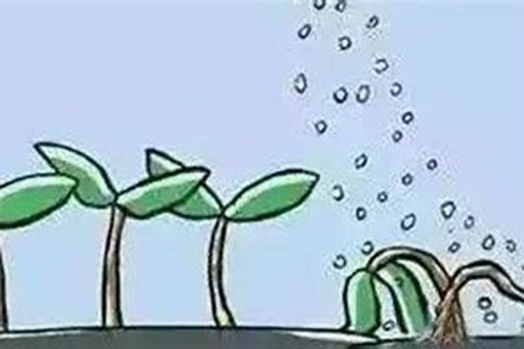 怎样简单辨别钾肥的真假与好坏？
