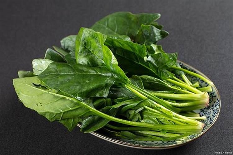 如何科学合理的种好菠菜