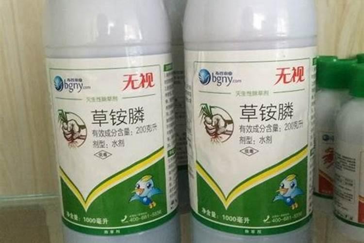 魔芋出土后怎么施肥和预防病虫害？