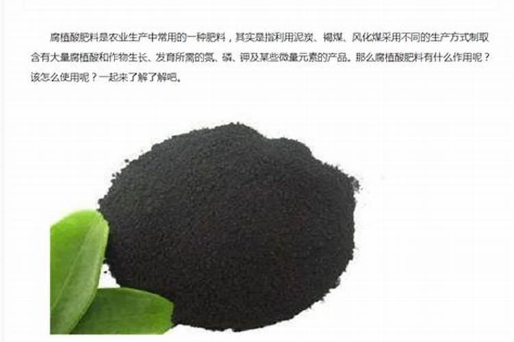 哪些食物可以清除血毒