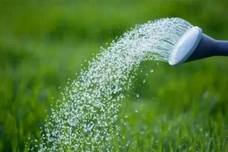 菌肥·磷肥有机肥\氮吧能混施吗
