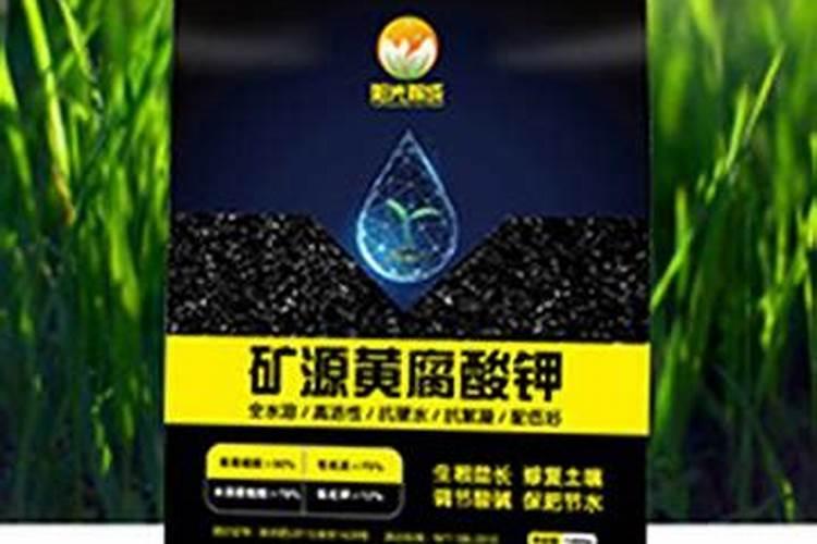 叶菜类植物应适当多施什么肥？