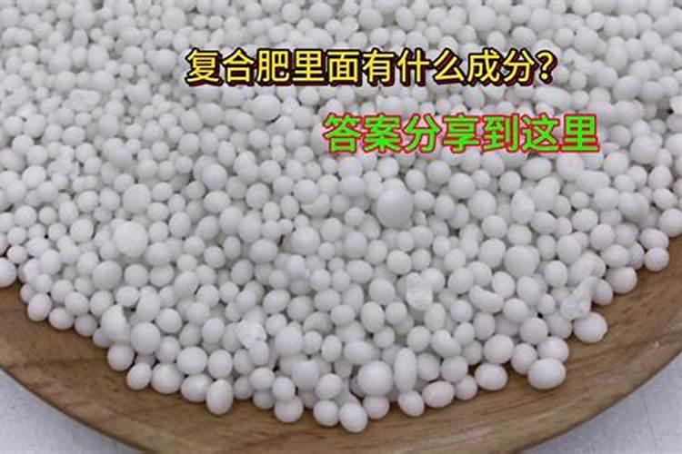 硼肥的10大禁忌
