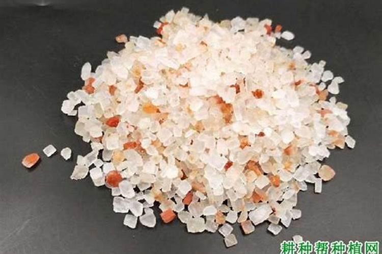 哪些食物含钾高？