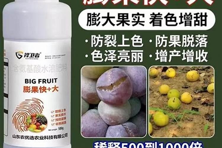 油菜用什么肥料最好