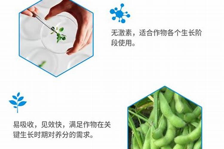 含水量最高的水果排行榜