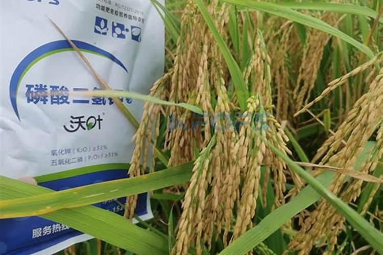 芸苔素内酯能合大量元素水溶性肥料混用吗？