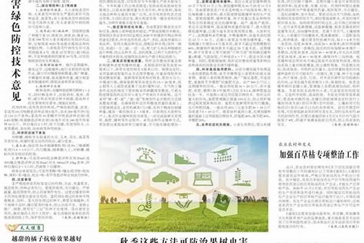 长效尿素哪个厂家的好