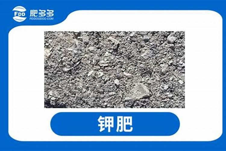 果树缺钙用什么肥料最适合(果树需补什么钙肥最好)