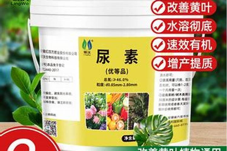 沃柑皮亮会不会是打蜡处理的？