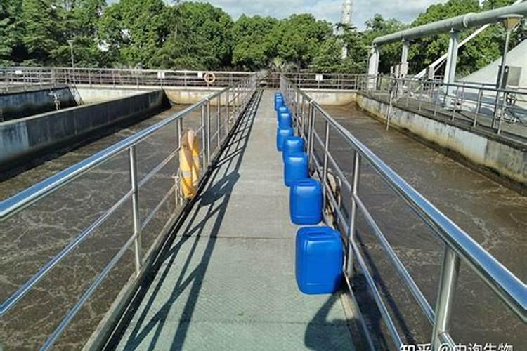 草可以直接埋土里做肥料吗
