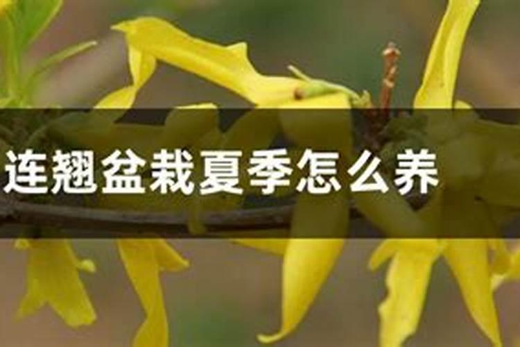 鱼塘下肥碳铵和磷肥怎么用