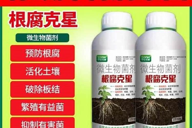 国内比较好水溶肥厂家有哪些