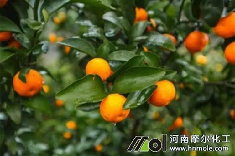 高达喷涂的一些问题