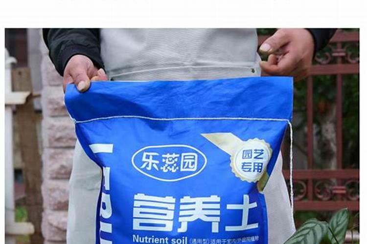 山茶花怎么施肥和浇水