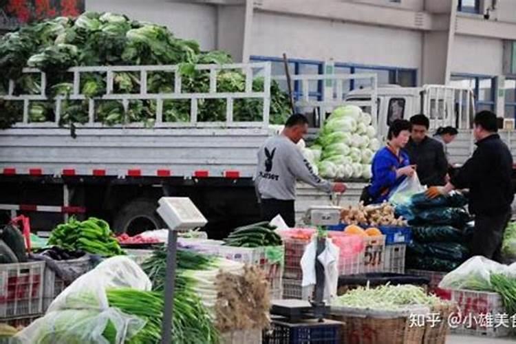 照顾成熟的芦笋植株,采取哪些方法比较好呢？