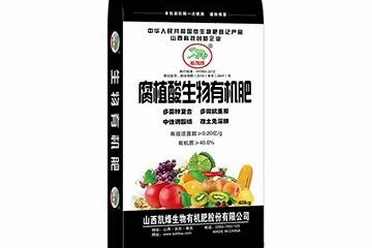 大葱亩产量多少斤