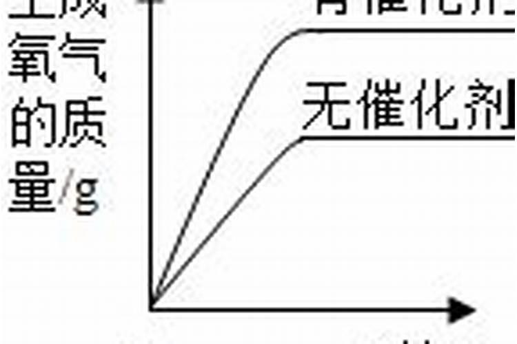 养好花卉的要素