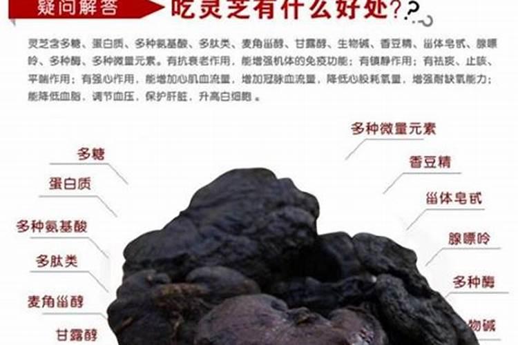 豆科植物固氮是什么氮肥