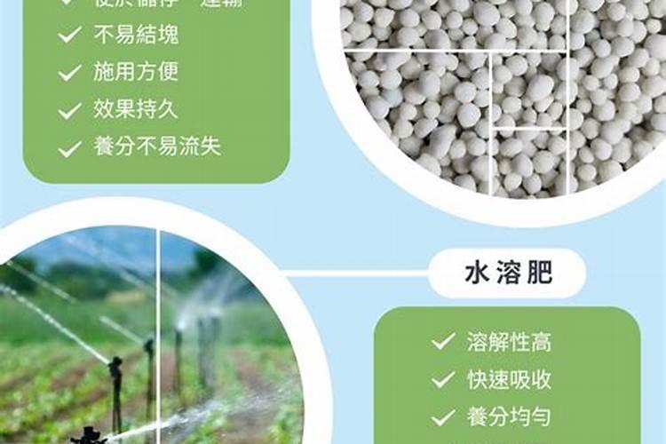 柑橘一年要施多少肥？怎样实现柑橘高产？