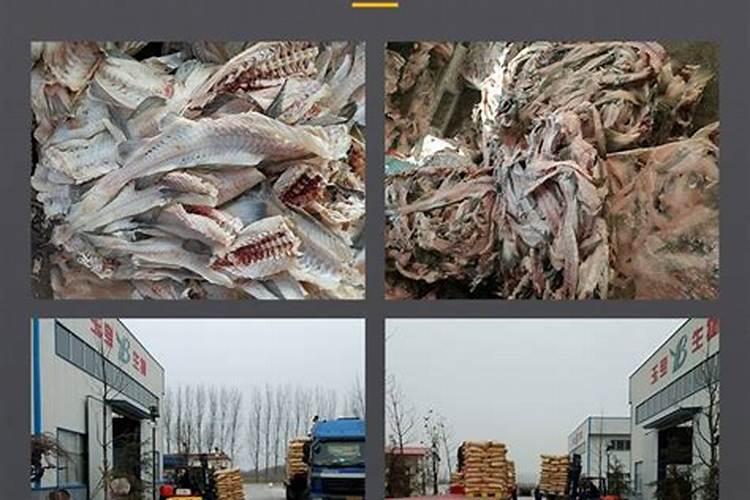 老年人血液粘稠怎么办 四种方法有效改善血液粘稠