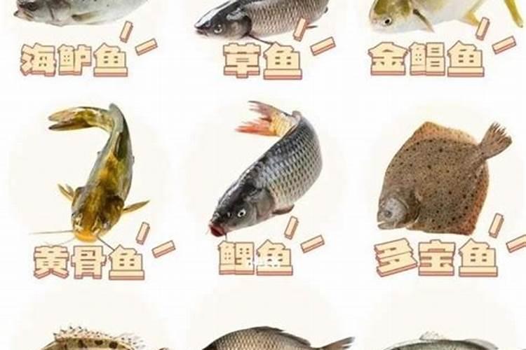 鱼都是蛋白质那他们的价格差在哪？