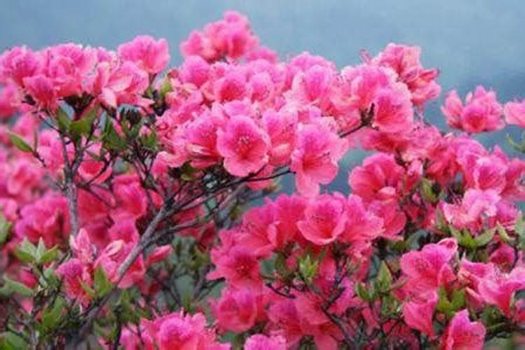 过期蛋白粉怎么处理不浪费