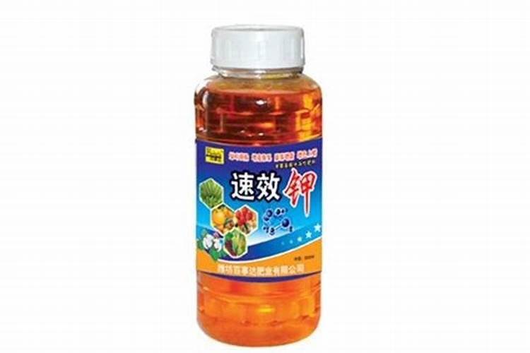 大棚蔬菜常用肥料有哪些