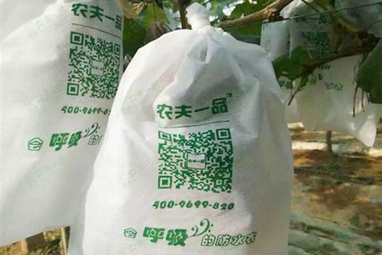 黄瓜霜霉病什么成分的药是保护剂