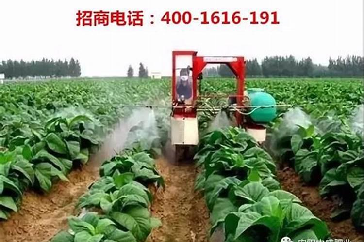 常见的氮肥、磷肥、钾肥、复合肥有哪些……