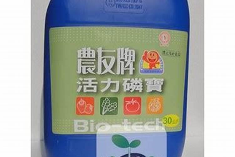 怎样辨别龙井茶的好坏