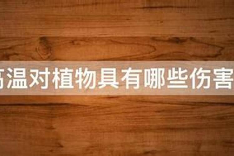 大量元素叶面肥经过高温会怎样？