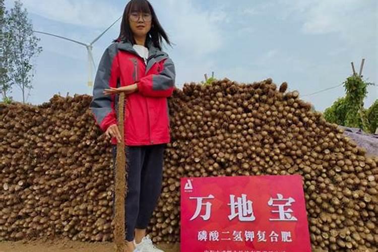 水溶肥可以当底肥用吗