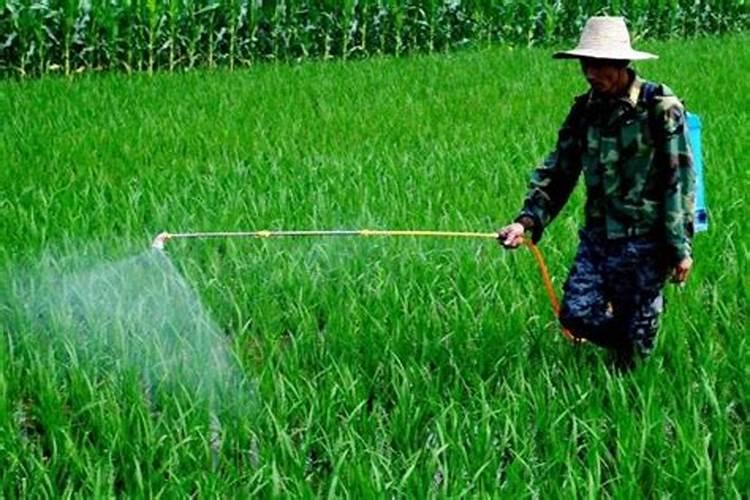 露娜森复配噻唑锌可以么