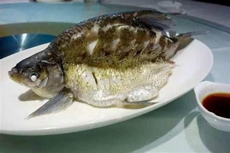 水溶肥的前十名