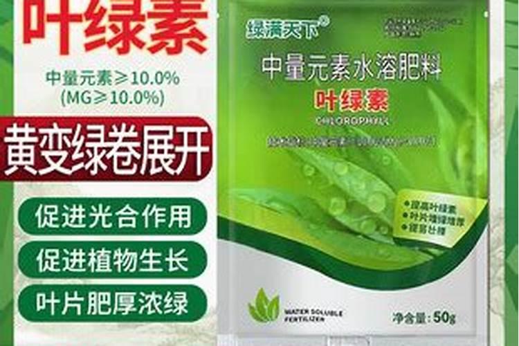 盆栽植物怎么养根 应注意什么