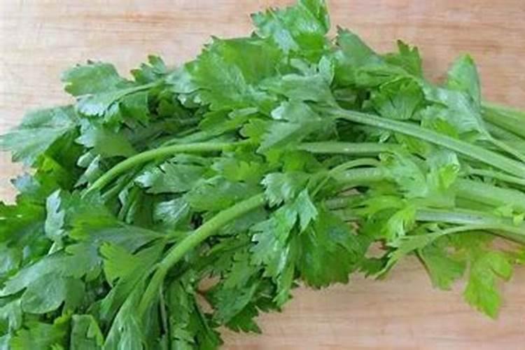 芹菜施肥用什么肥料