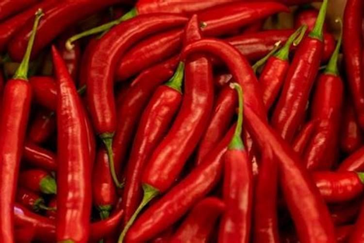 橘子树用什么肥料最好？橘子树施肥方法和注意事项