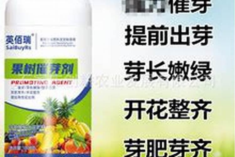 果树叶面肥有哪些