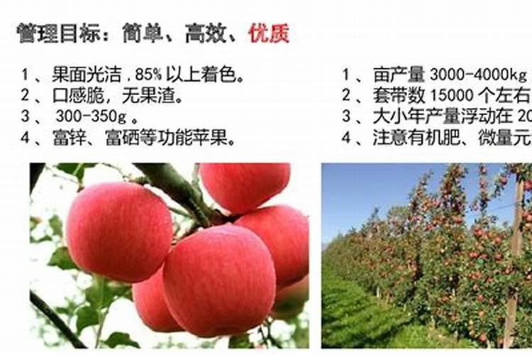 苹果树施肥的方法