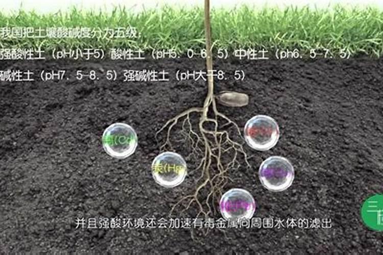 过量施肥会导致土地酸化吗