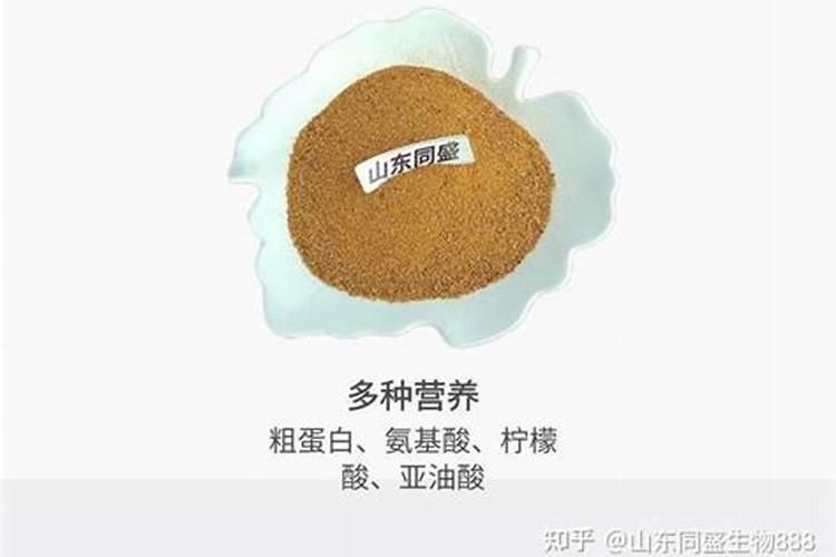 大猪是喂鱼粉多的浓缩料好还是喂纯豆粕的好？