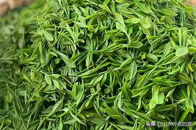 茶叶喷什么叶面肥可以有效提高质量