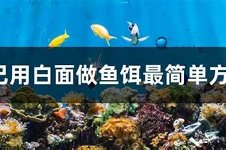 草鱼可以直接喂豆粕吗