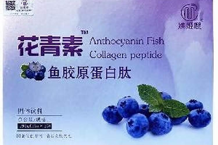 佛手树盆景怎么养,手把手教你如何养好佛手树