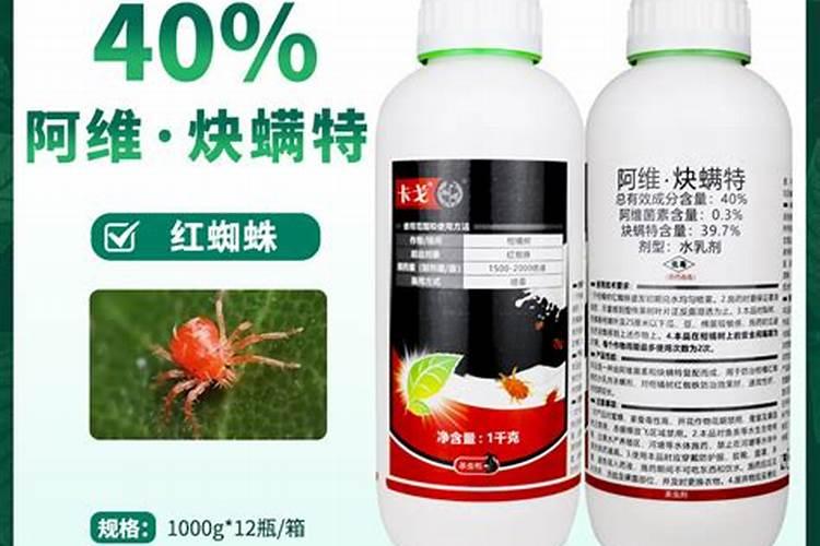 育沙糖桔苗要喷什么叶面肥和杀虫药