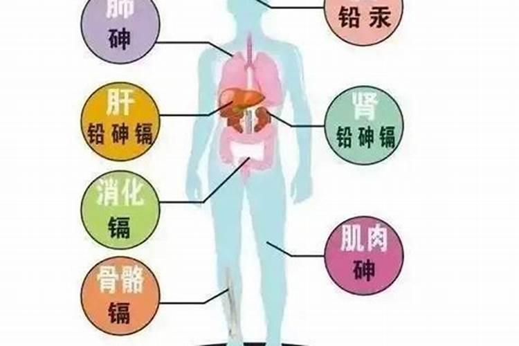 什么是重金属超标