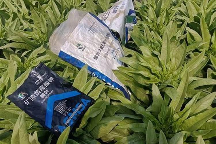 长期种菜什么肥料比较好啊